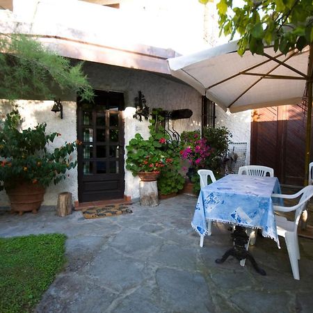 Case Vacanza La Ventura Massarosa Exteriér fotografie